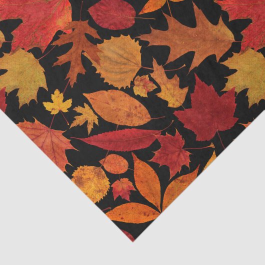 Autumn Leaves op Black Tissuepapier (Detail)