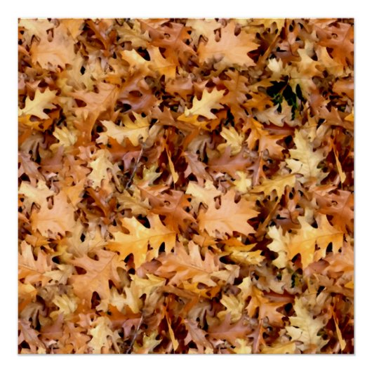 AUTUMN LEAVES PERFECT POSTER (Voorkant)