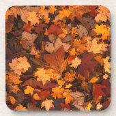 Autumn Leaves Photo Bier Onderzetter (Voorkant)