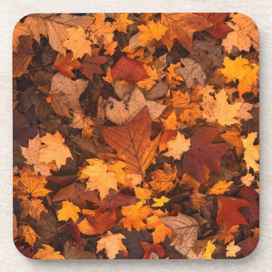 Autumn Leaves Photo Bier Onderzetter (Voorkant)