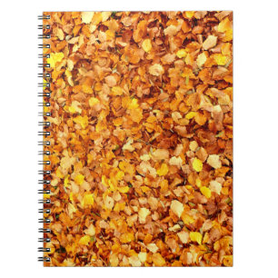 Autumn Leaves Photo Notitieboek