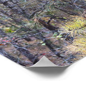 Autumn Leaves Photo Poster (Hoek)