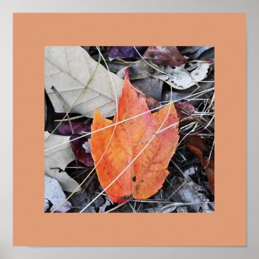 Autumn Leaves Photo Poster (Voorkant)