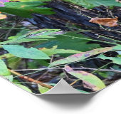 Autumn Leaves Photo Poster (Hoek)
