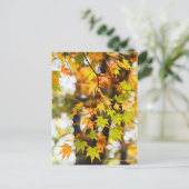 Autumn Leaves [Postcard] Briefkaart (Staand voorkant)