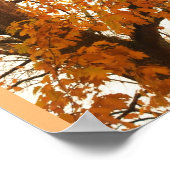 Autumn Leaves Poster (Hoek)