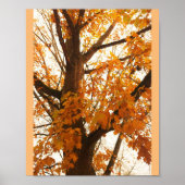 Autumn Leaves Poster (Voorkant)