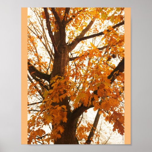 Autumn Leaves Poster (Voorkant)