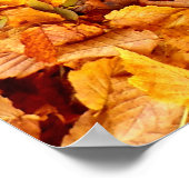 Autumn Leaves Poster (Hoek)