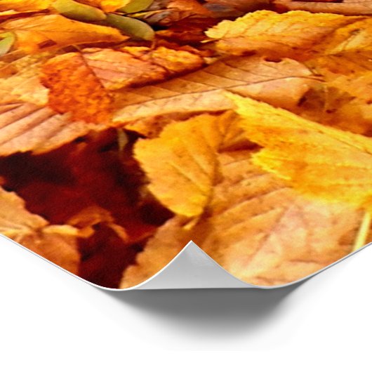 Autumn Leaves Poster (Hoek)