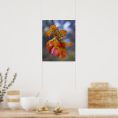 Autumn Leaves Poster (Keuken)
