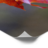 Autumn Leaves Poster (Hoek)