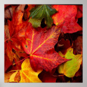 AUTUMN LEAVES POSTER (Voorkant)
