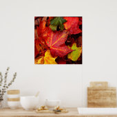 AUTUMN LEAVES POSTER (Keuken)