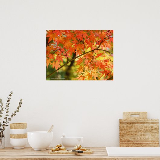 Autumn Leaves Poster (Keuken)