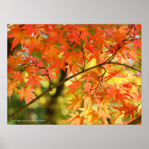 Autumn Leaves Poster