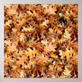 AUTUMN LEAVES POSTER (Voorkant)