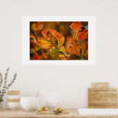 Autumn Leaves Poster (Keuken)