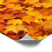 Autumn Leaves Poster (Hoek)