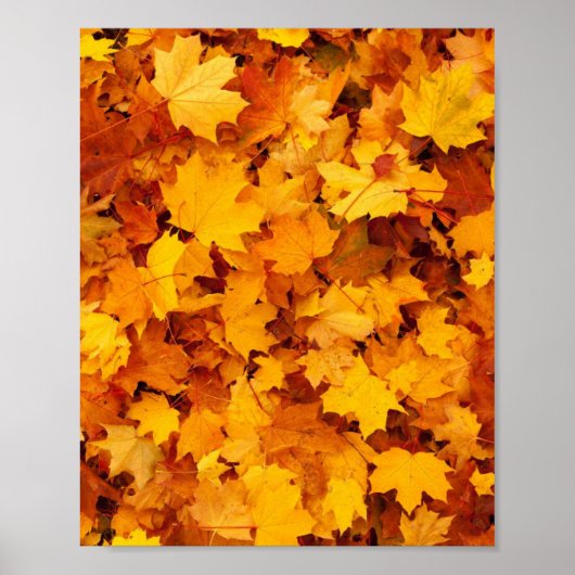 Autumn Leaves Poster (Voorkant)