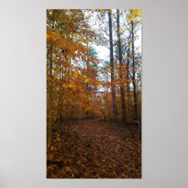 Autumn Leaves Poster