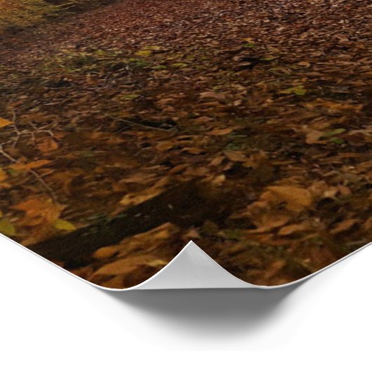 Autumn Leaves Poster (Hoek)