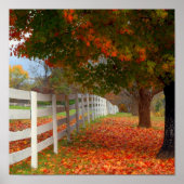 Autumn Leaves Poster (Voorkant)