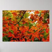 Autumn Leaves Poster (Voorkant)