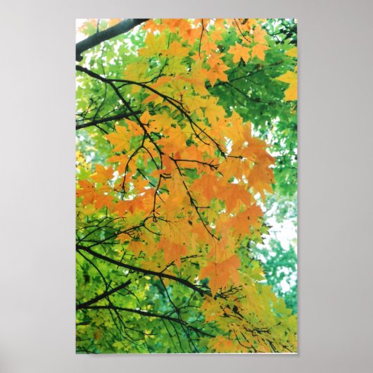 Autumn Leaves Poster (Voorkant)
