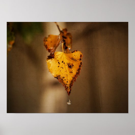 Autumn Leaves Poster (Voorkant)