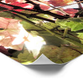 AUTUMN LEAVES POSTER (Hoek)