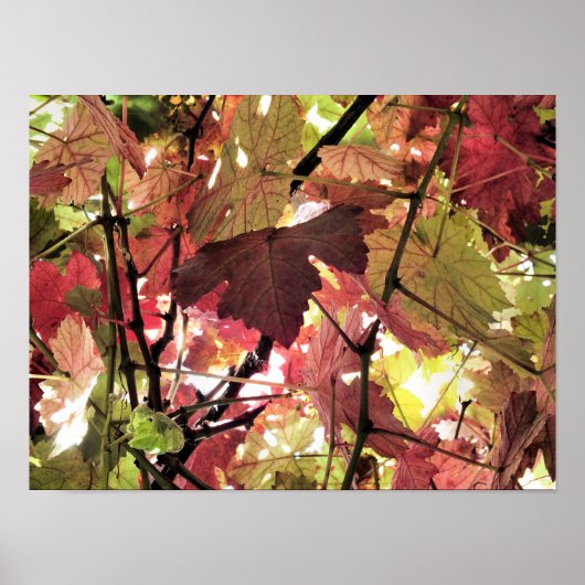 AUTUMN LEAVES POSTER (Voorkant)