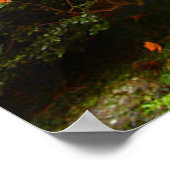 Autumn Leaves Poster (Hoek)