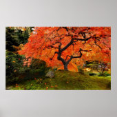 Autumn Leaves Poster (Voorkant)