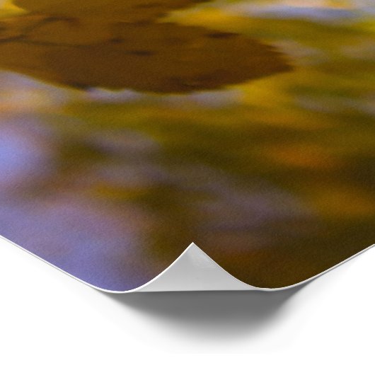 Autumn Leaves Poster (Hoek)