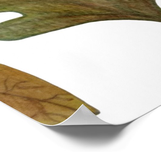 Autumn leaves poster (Hoek)