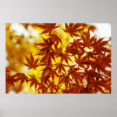 Autumn Leaves Print (Voorkant)