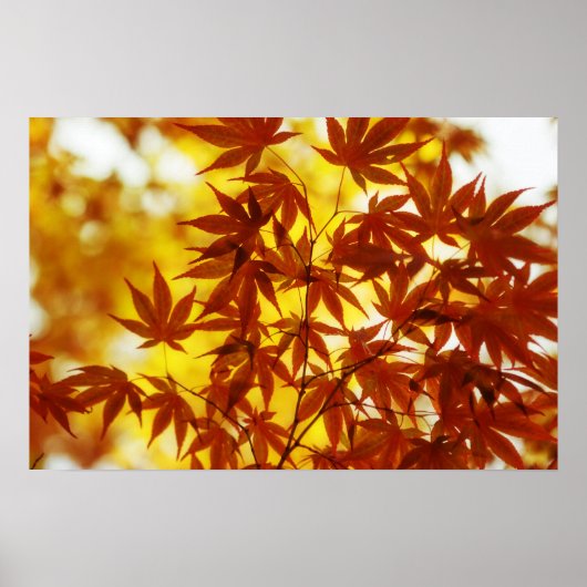 Autumn Leaves Print (Voorkant)