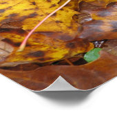 Autumn Leaves Print (Hoek)