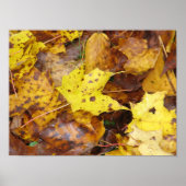 Autumn Leaves Print (Voorkant)