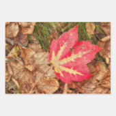 Autumn Leaves Red Yellow Oranje Land Rustic Inpakpapier Vel (Voorkant 3)
