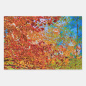 Autumn Leaves Red Yellow Oranje Land Rustic Inpakpapier Vel (Voorkant 2)