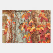 Autumn Leaves Red Yellow Oranje Land Rustic Inpakpapier Vel (Voorkant)