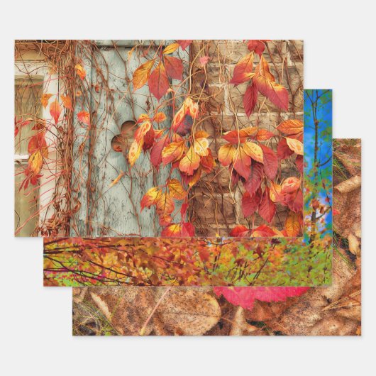 Autumn Leaves Red Yellow Oranje Land Rustic Inpakpapier Vel (Set)