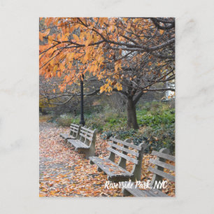 Autumn Leaves Riverside Park New York City Briefkaart