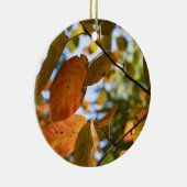 Autumn Leaves Riverside Park New York City Herfst Keramisch Ornament (Rechts)