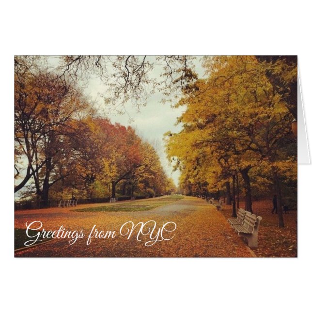 Autumn Leaves Riverside Park New York City NYC (Voorkant Horizontaal)