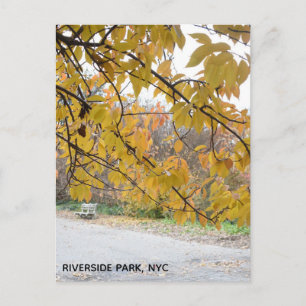 Autumn Leaves Riverside Park New York City NYC Briefkaart