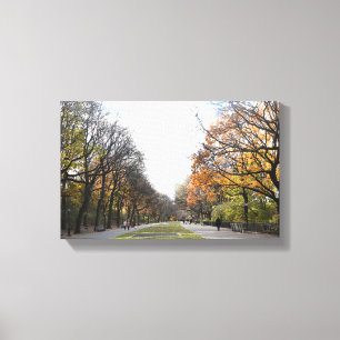 Autumn Leaves Riverside Park New York City NYC Canvas Afdruk