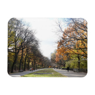 Autumn Leaves Riverside Park New York City NYC Magneet